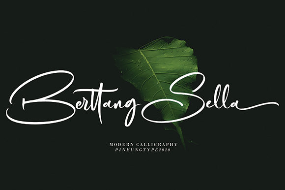 Berttang Sella: The Elegant Handwritten Font for Brands