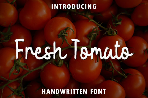 Fresh Tomato: A Handwritten Font for Editorial Warmth