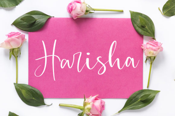 Harisha Font Review: A Playful Typeface for Joyful Brands