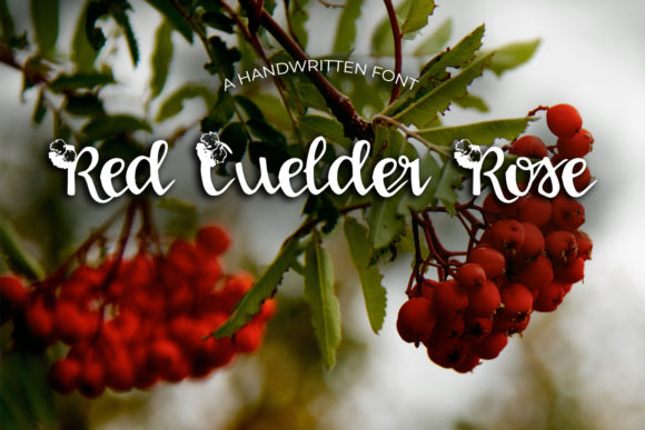 Red Guelder Rose: A Delicate Handwritten Font for Modern Branding