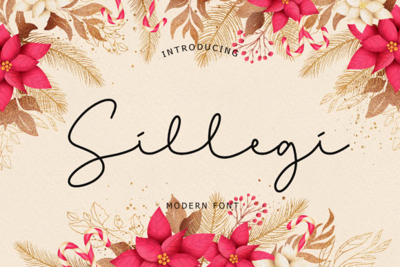 Sillegi Typeface: A Designer’s Guide to Romantic Branding